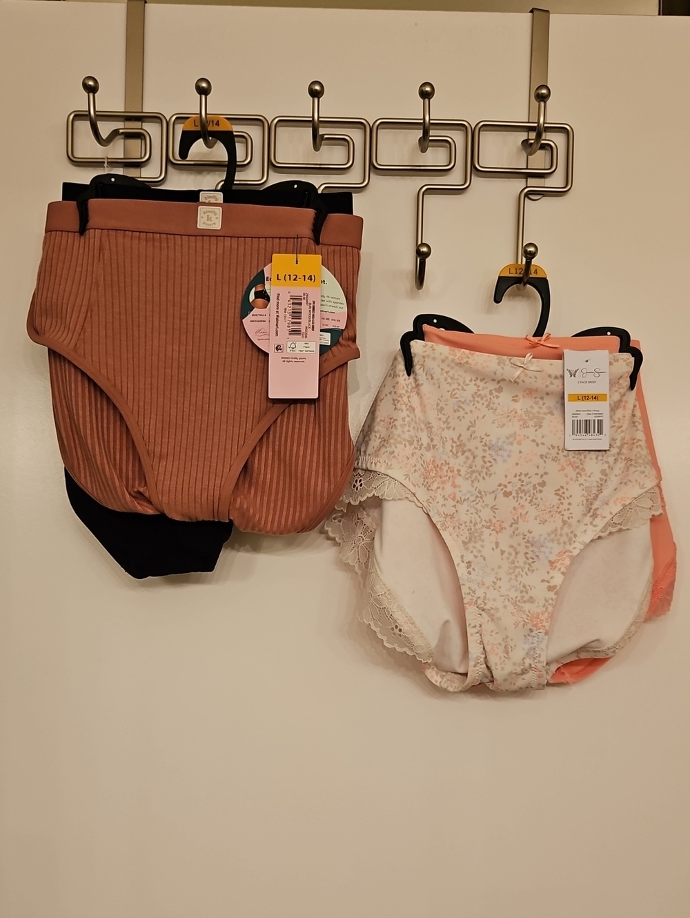 NWT Womens Brief Underwear Lot 4 Pairs Large 12 14 Kindly Yours Jessica Simpson